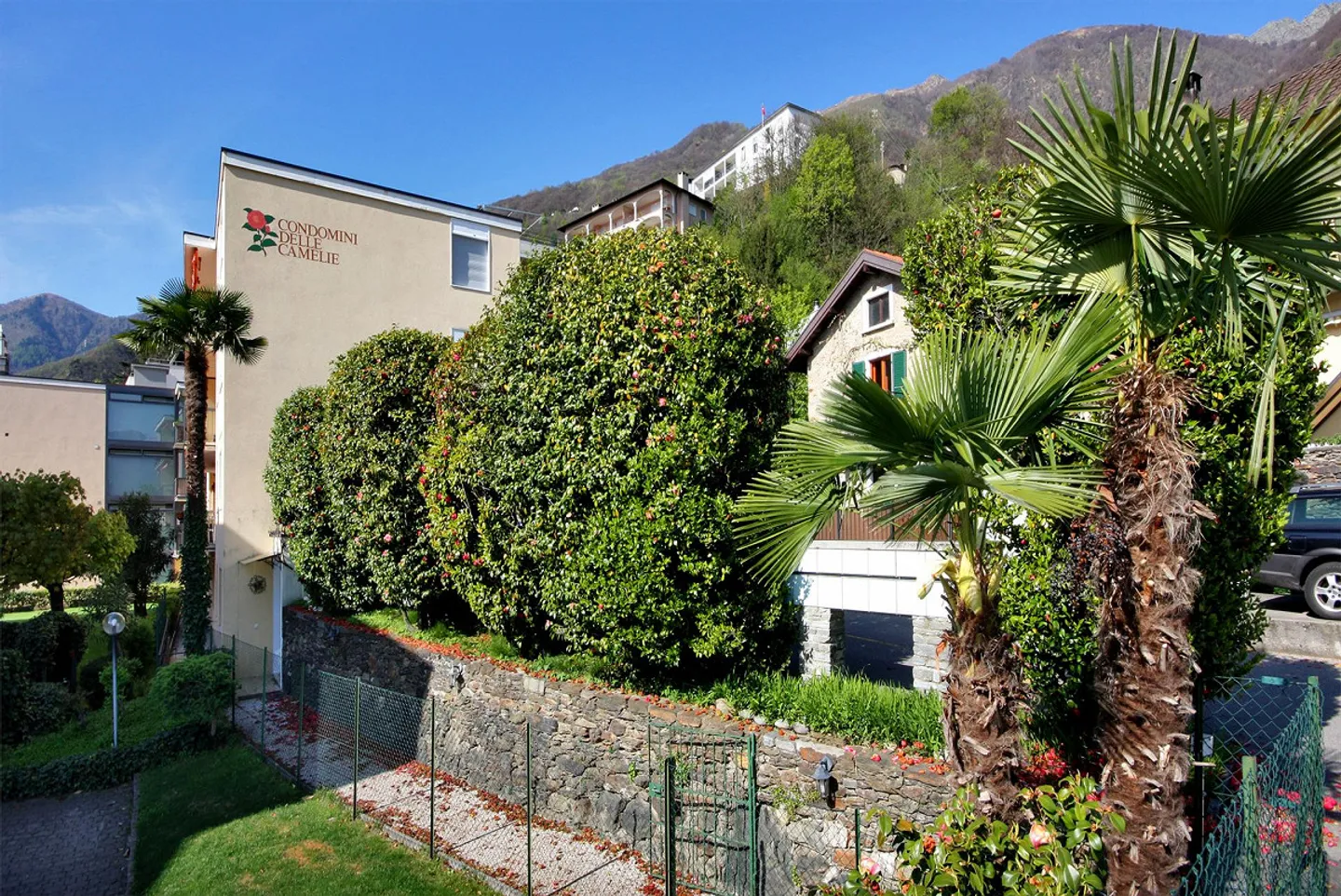 4.5 at a small price - Photo 4 of 20