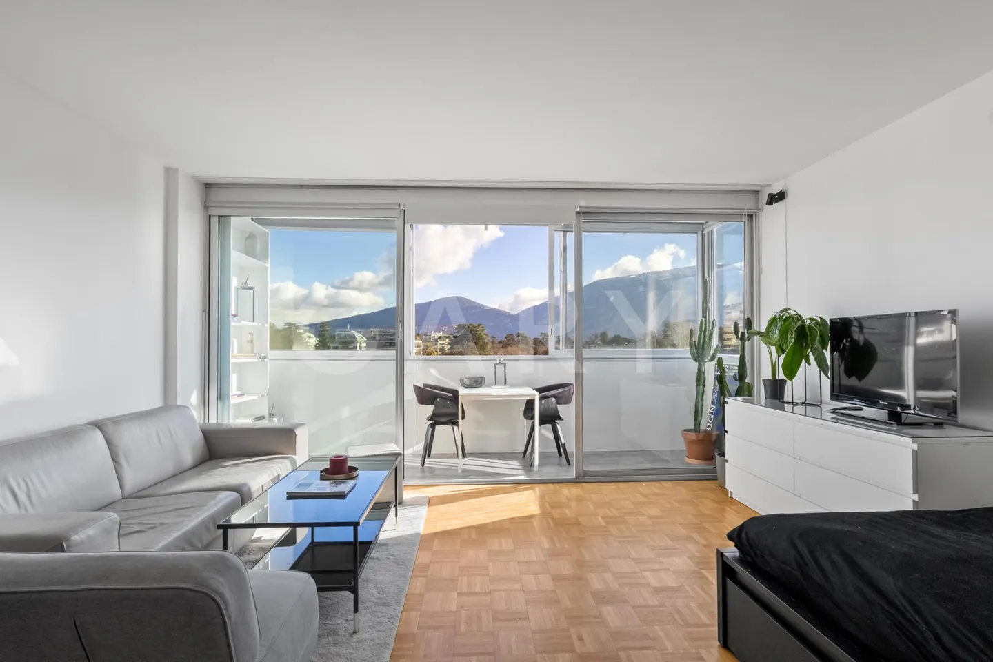 Rare penthouse studio, unobstructed view and absolute calm in the heart of Geneva - Photo 1 of 12