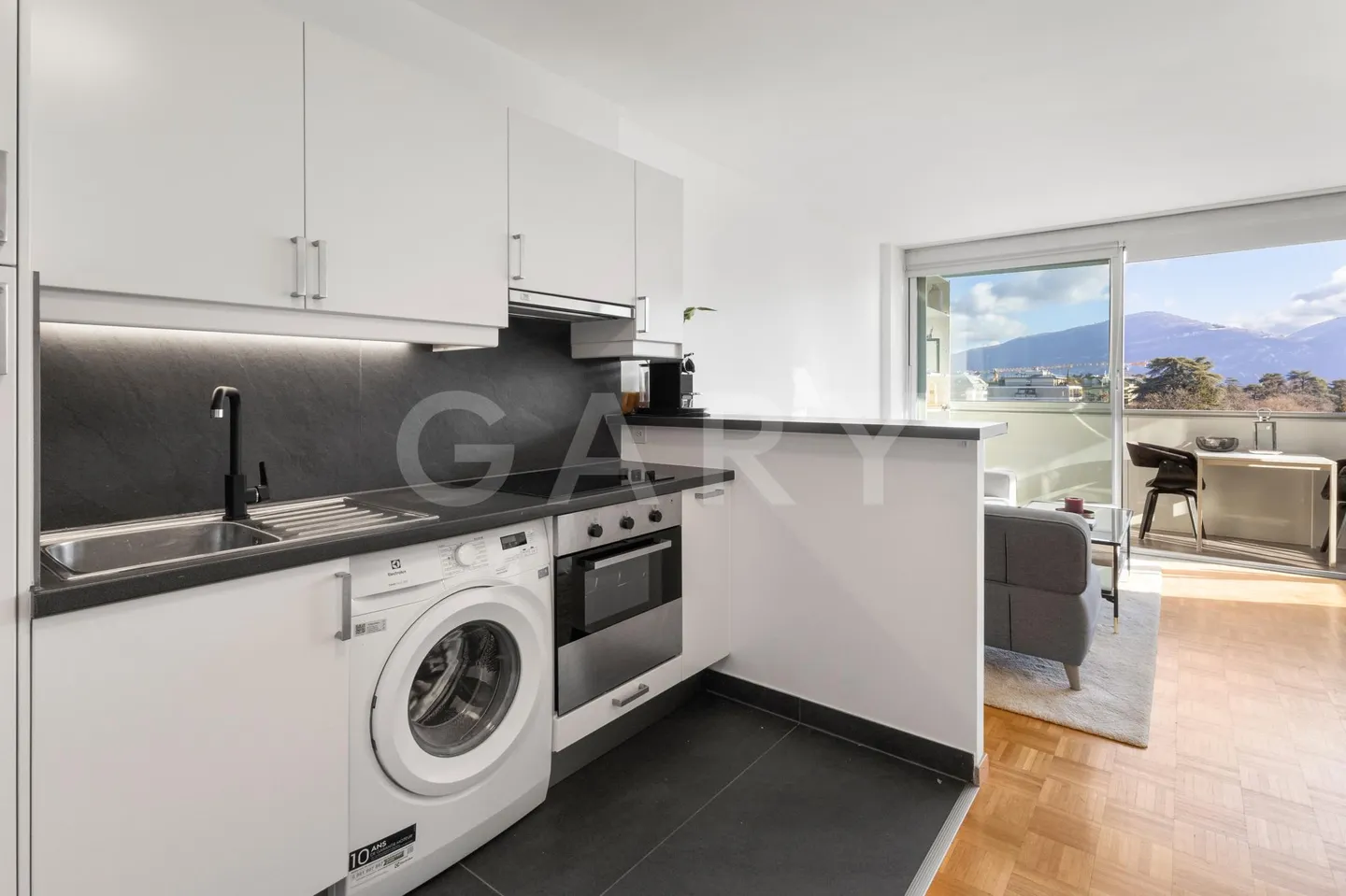 Rare penthouse studio, unobstructed view and absolute calm in the heart of Geneva - Photo 3 of 12