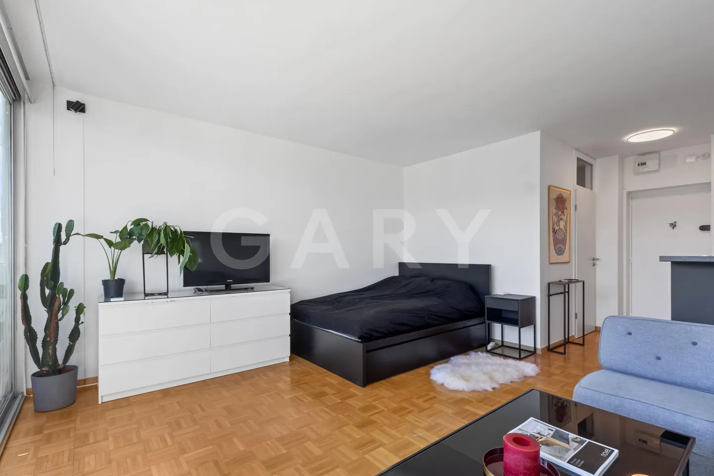 Rare penthouse studio, unobstructed view and absolute calm in the heart of Geneva - Photo 8 of 12