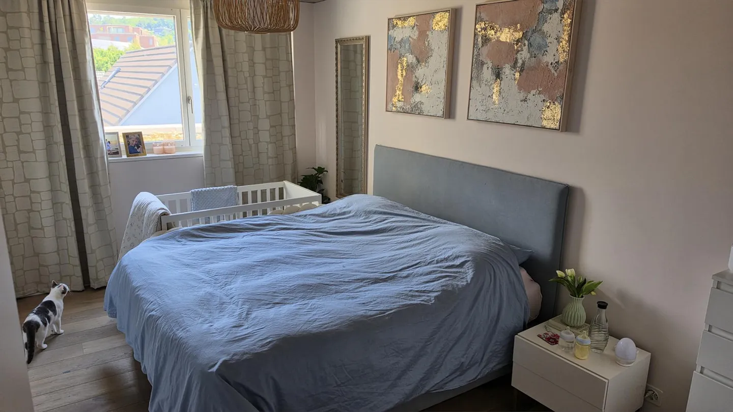 Appartement penthouse lumineux de 4,5 pièces avec balcon à Uster - Photo 11 sur 11