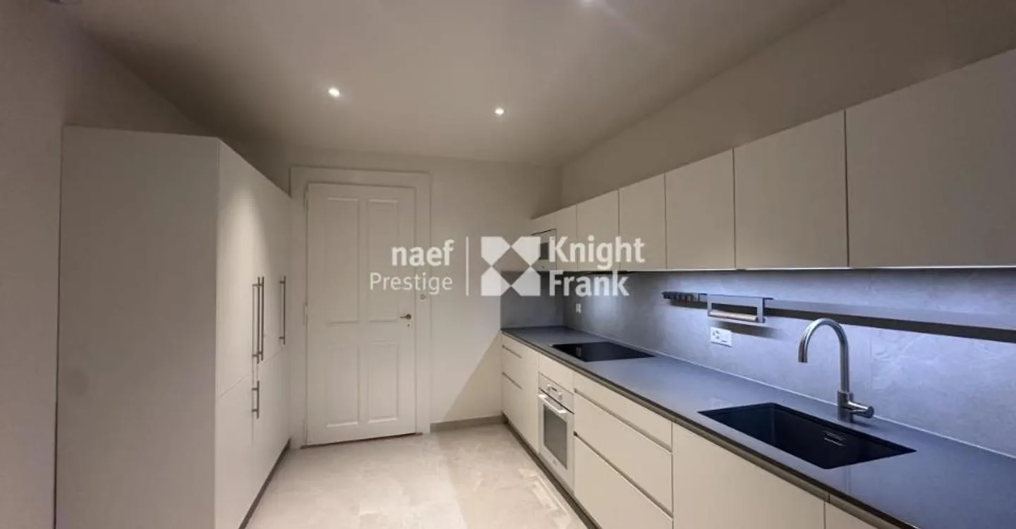 Charming apartment - fully renovated - in the hypercenter with a view of the jet d'eau - Photo 6 of 12
