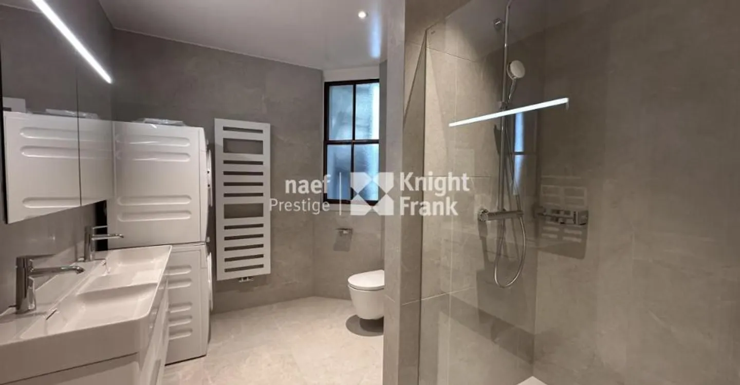 Charming apartment - fully renovated - in the hypercenter with a view of the jet d'eau - Photo 8 of 12
