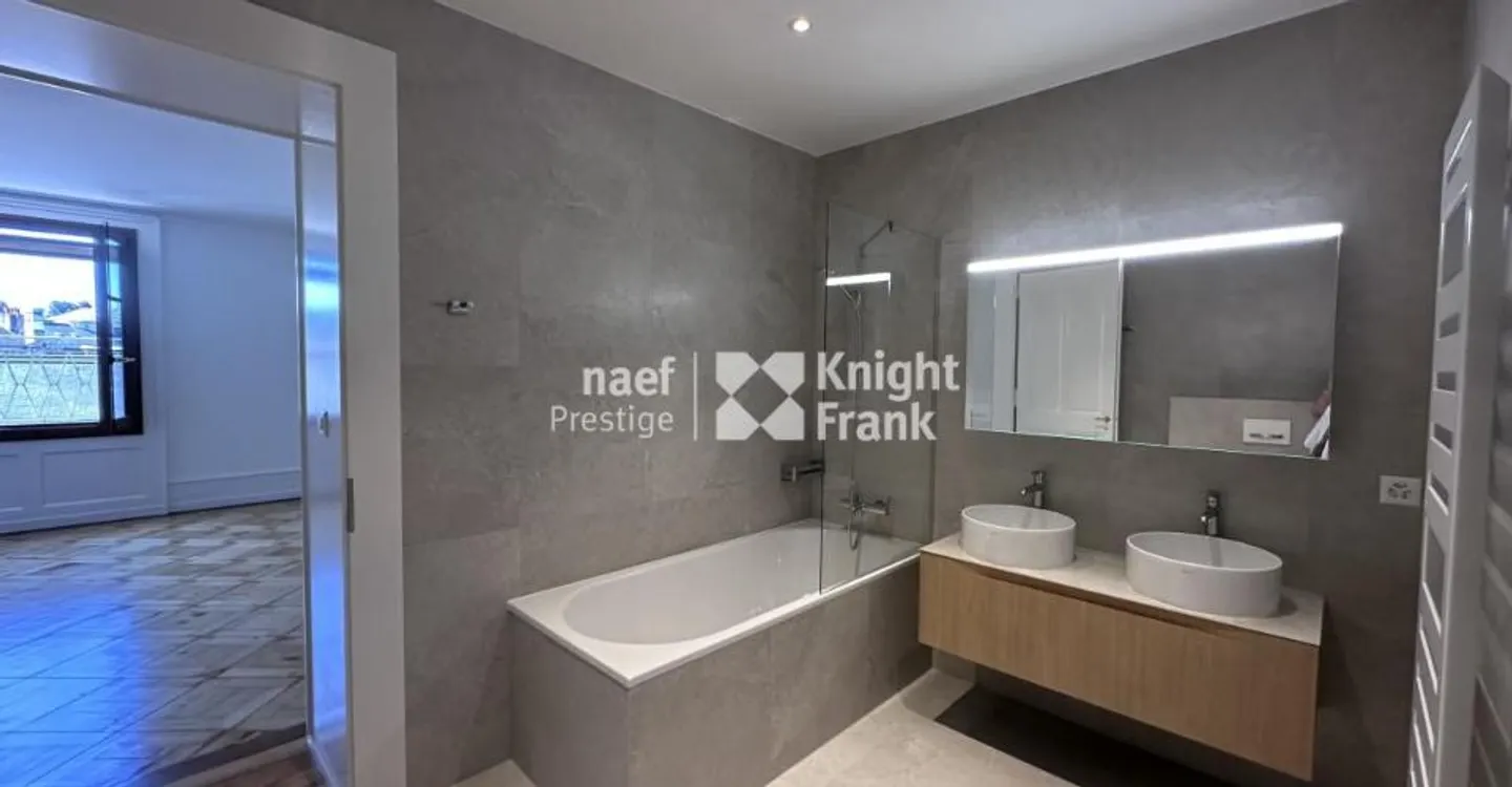 Charming apartment - fully renovated - in the hypercenter with a view of the jet d'eau - Photo 10 of 12