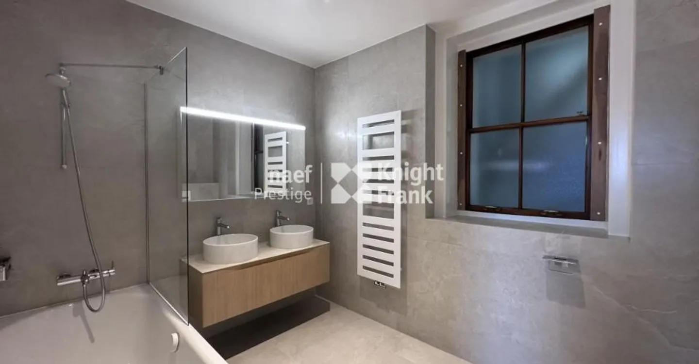 Charming apartment - fully renovated - in the hypercenter with a view of the jet d'eau - Photo 11 of 12