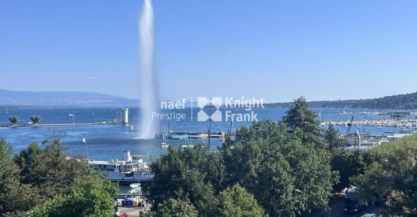 Charming apartment - fully renovated - in the hypercenter with a view of the jet d'eau - Photo 1 of 12