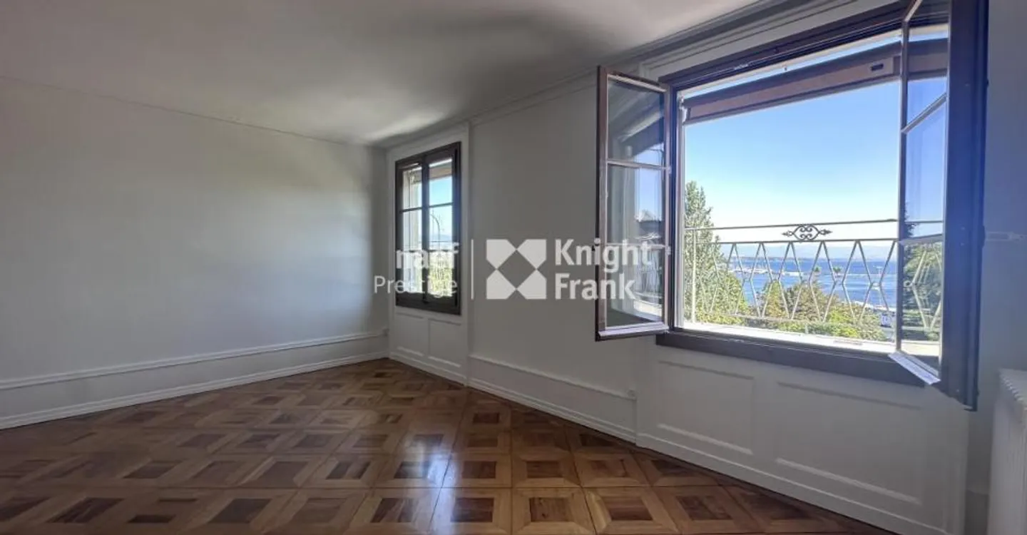 Charming apartment - fully renovated - in the hypercenter with a view of the jet d'eau - Photo 2 of 12