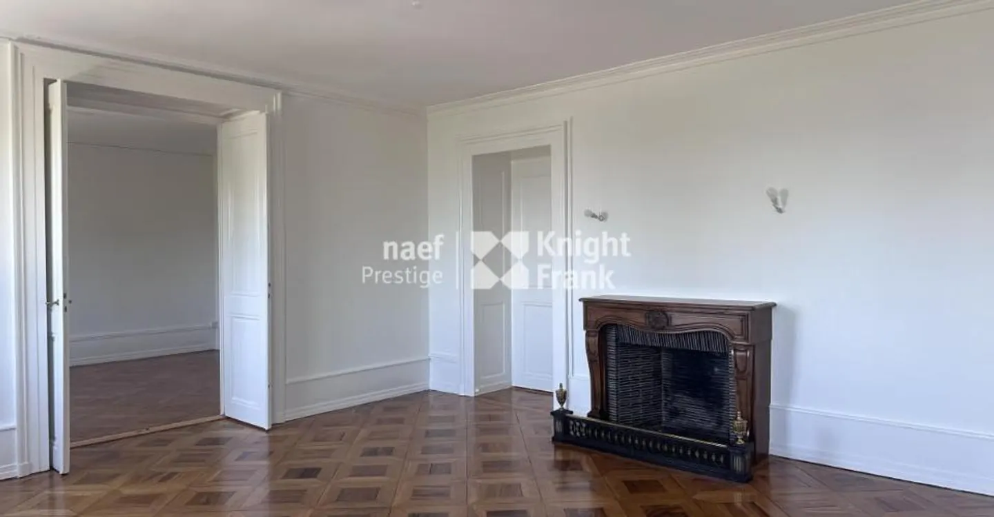Charming apartment - fully renovated - in the hypercenter with a view of the jet d'eau - Photo 3 of 12