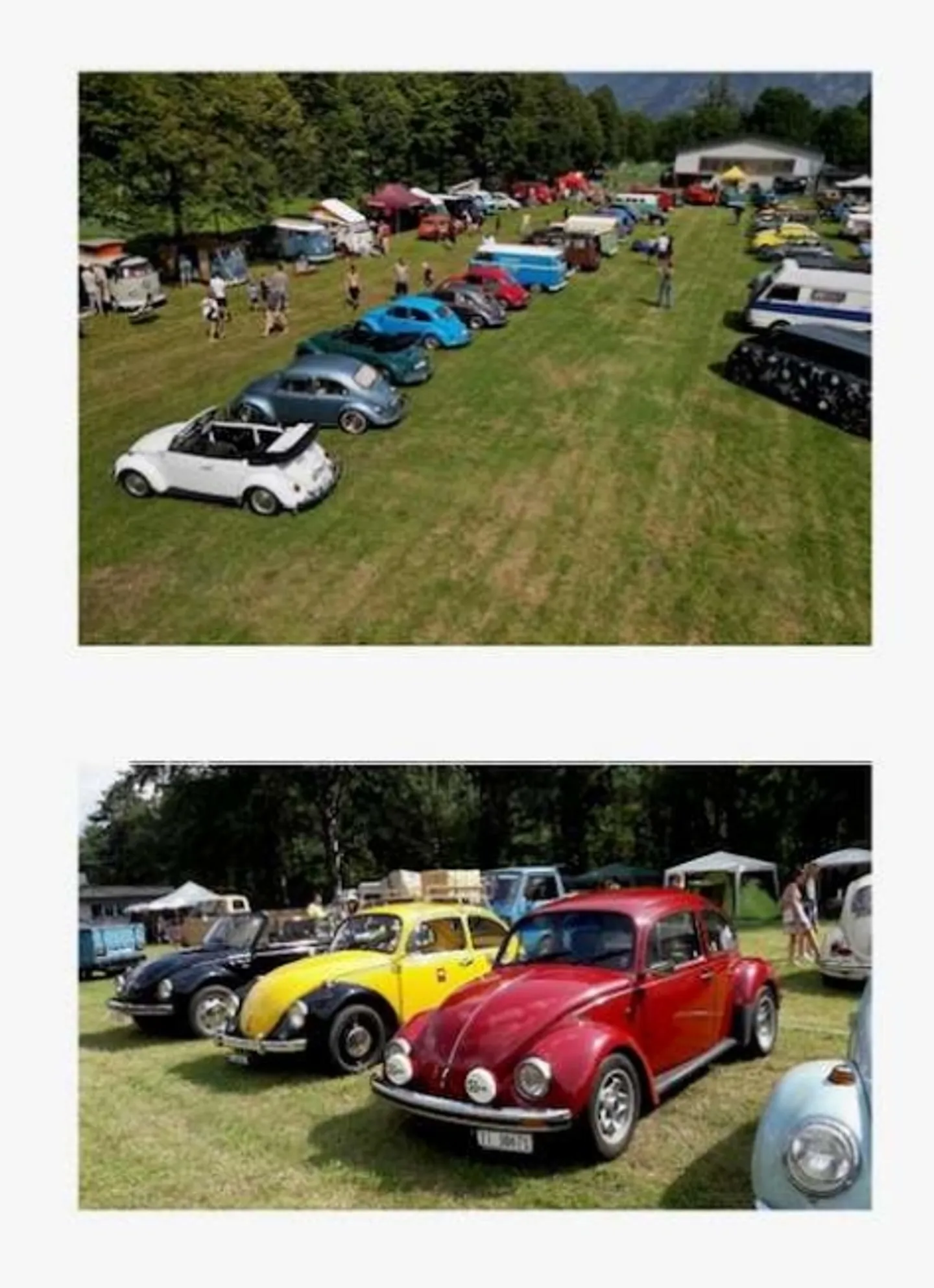 Multifunctional Space for Event Center - Photo 3 of 8