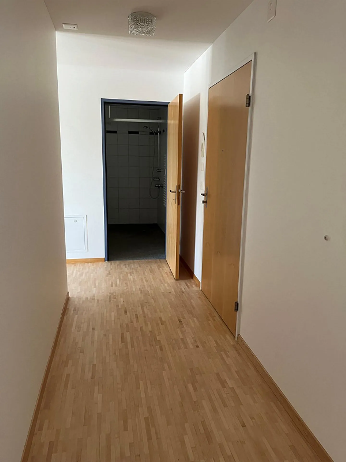 Appartamento 2,5 locali in una posizione tranquilla e idilliaca - Foto 8 di 8