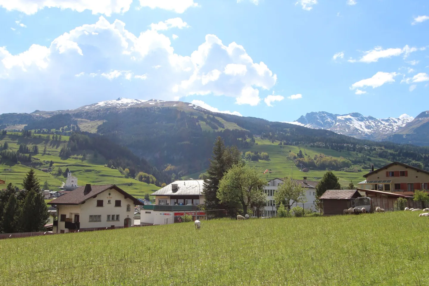 Grande lotto edificabile - Foto 4 di 7