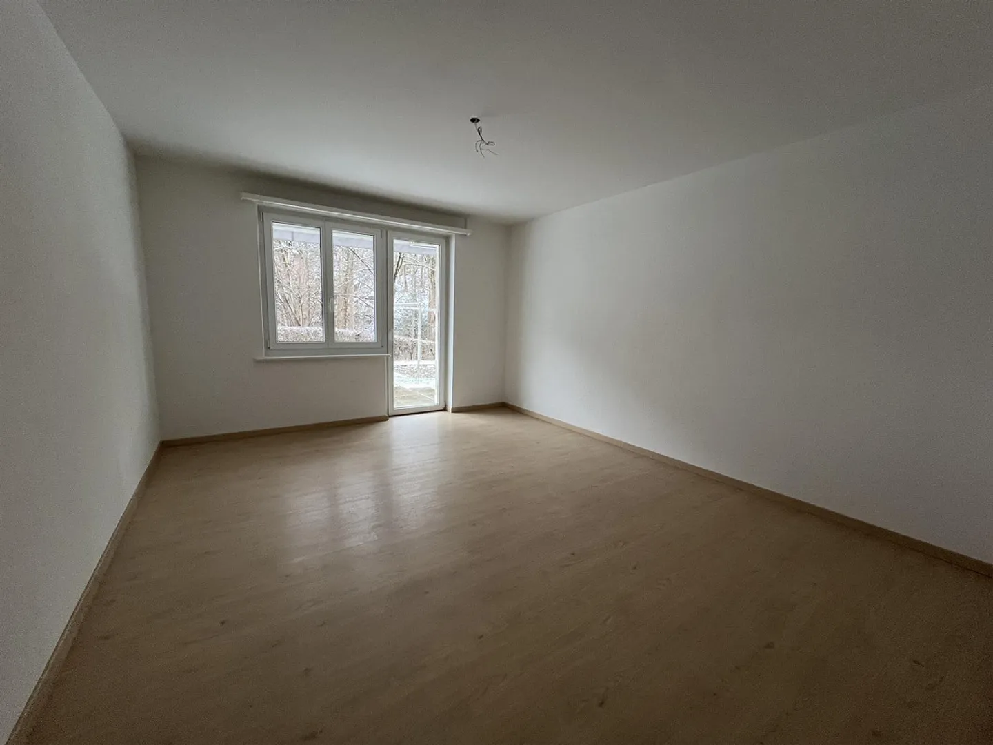 Looking for a new tenant! 4-room apartment with patio, new kitchen + bathroom - Photo 5 of 8