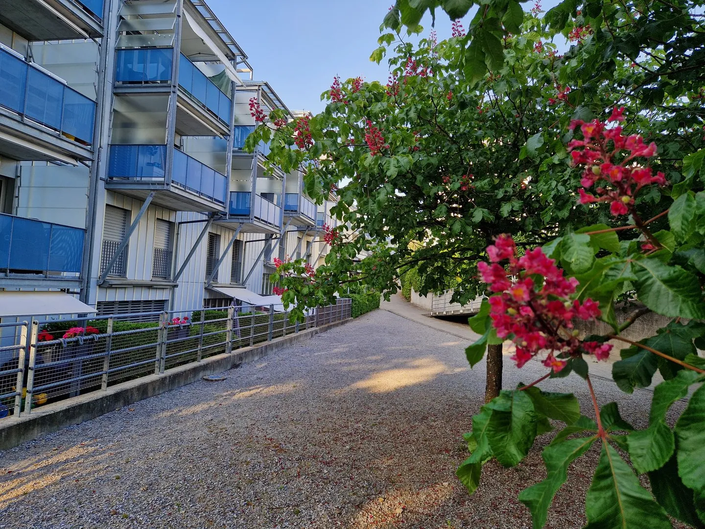 Unique 4.5-room maisonette apartment in St. Gallen-Winkeln - Photo 1 of 23