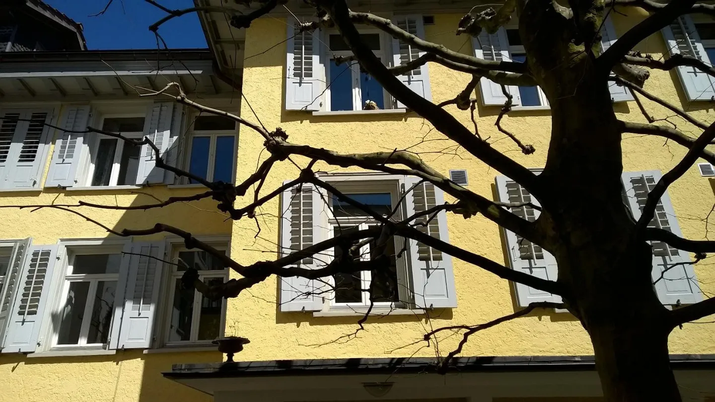 Appartamento di 3,5 stanze tranquillo nel verde - Foto 1 di 9