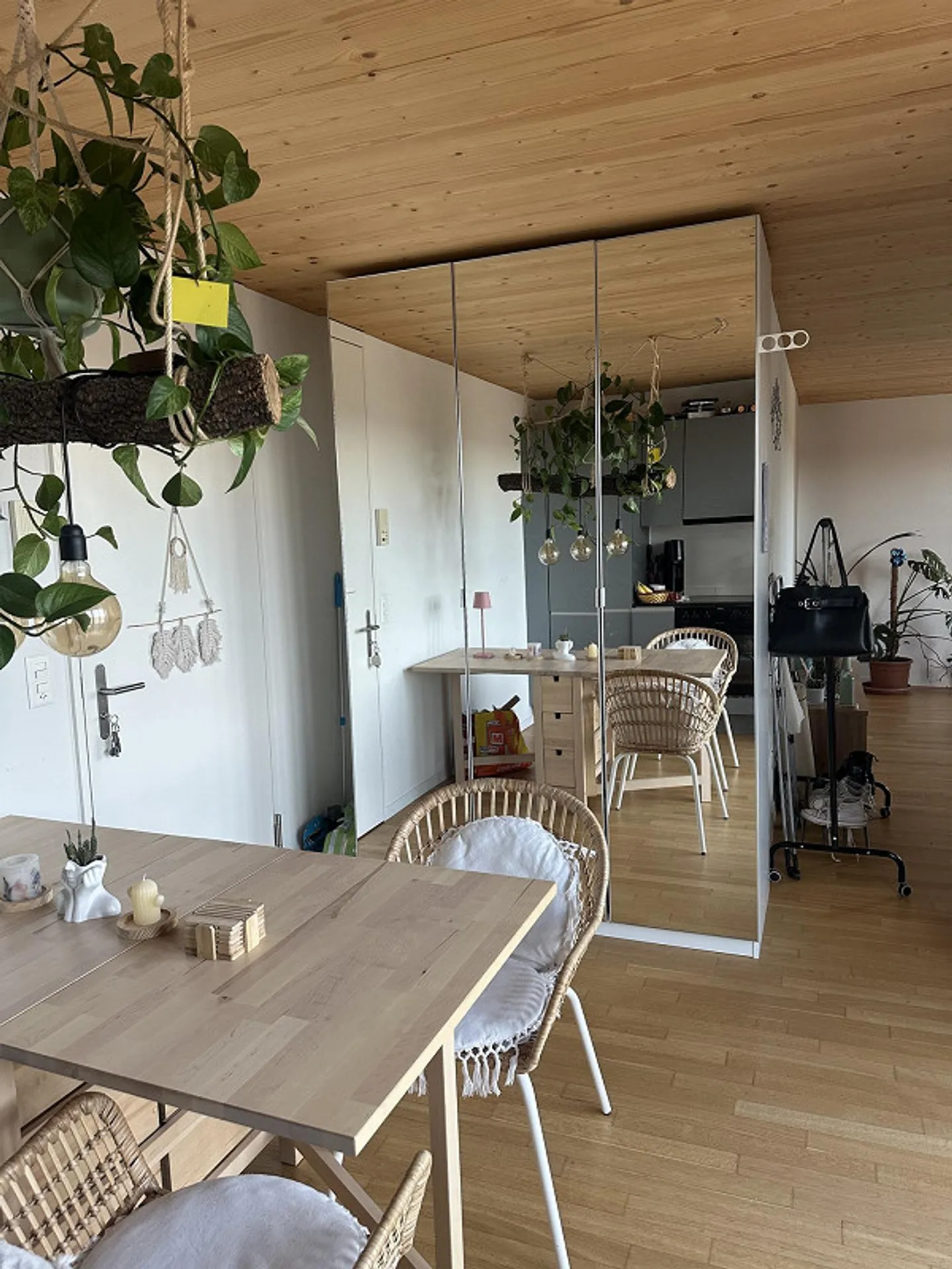 Furnished 1.5 Room Apartment in Uster for 1 Year from Fe/Mar 2026 - Photo 3 of 5