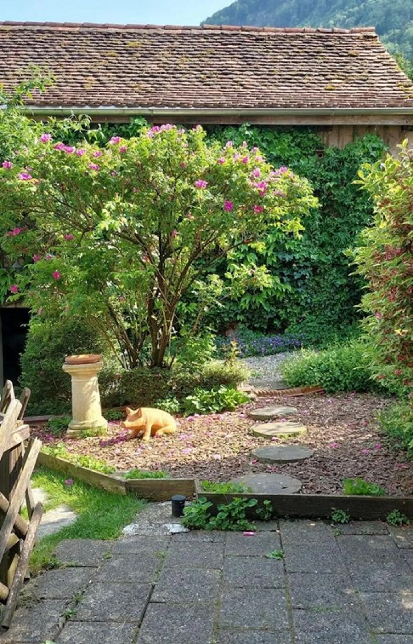 Spacious 5.5-room apartment - Photo 3 of 9