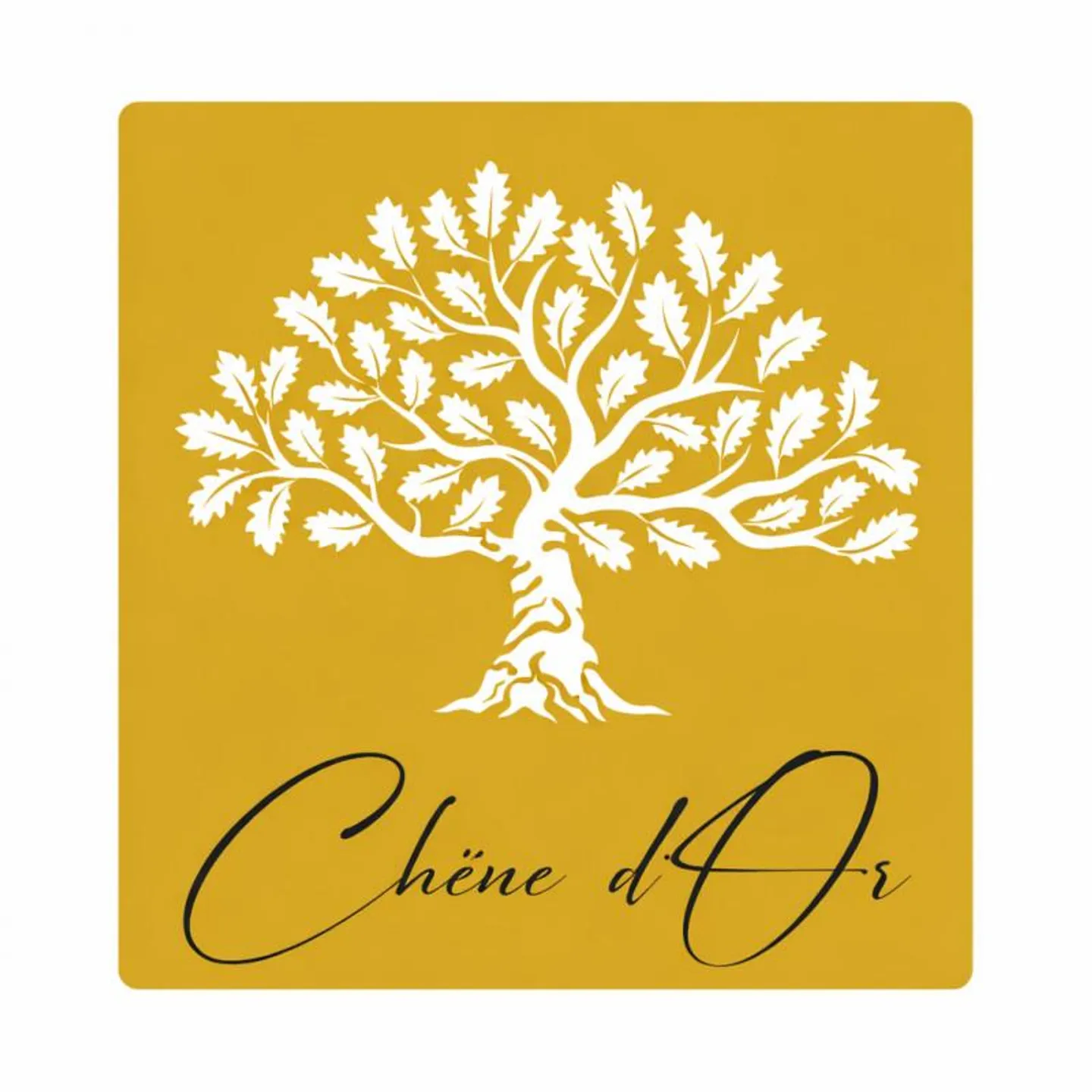 Vivere nel verde, in un quartiere affascinante, appartamento 4.5 stanze e... - Foto 8 di 8