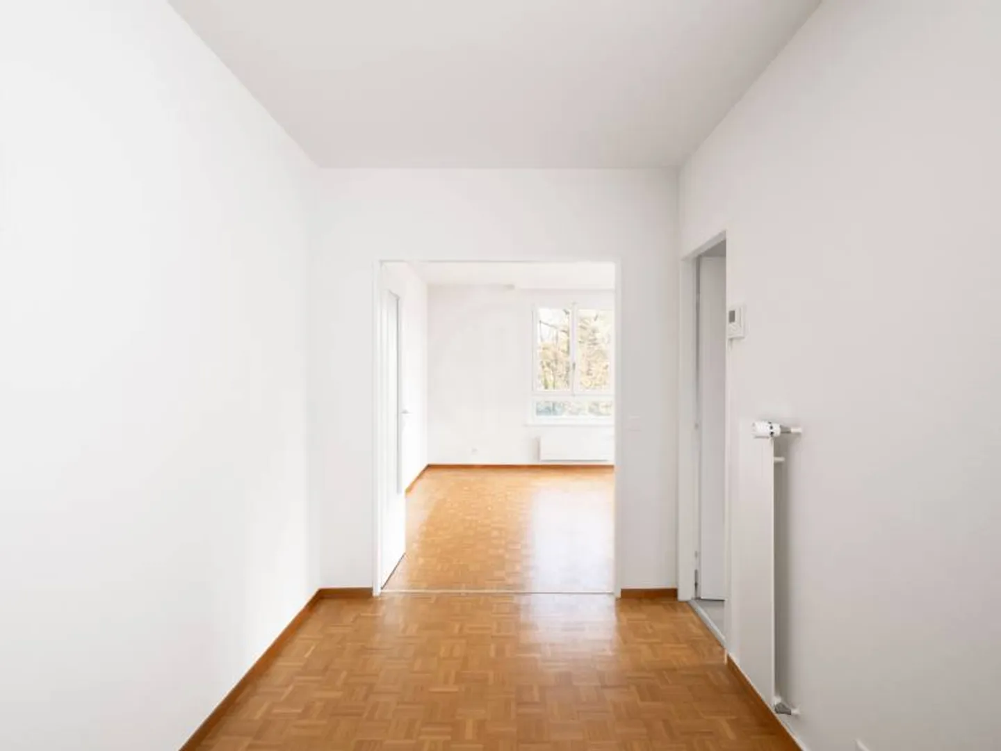 Beautiful Apartment - Cologny - Photo 3 of 11