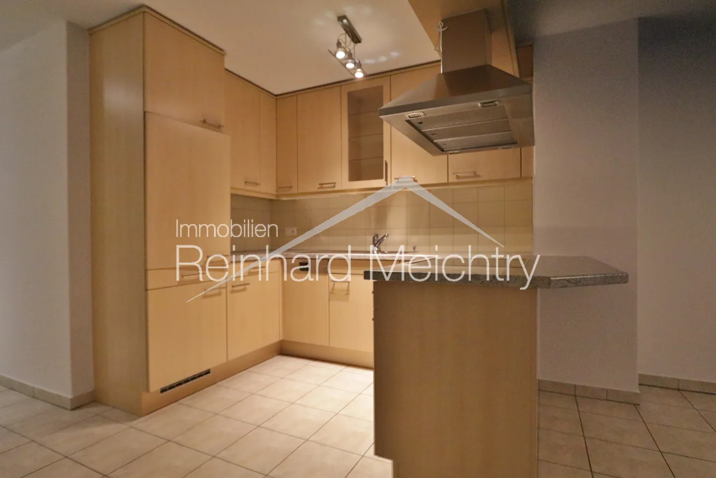 3.5 Room Rental Apartment 5 Minutes from NEAT Train Station and LONZA - Photo 13 of 26