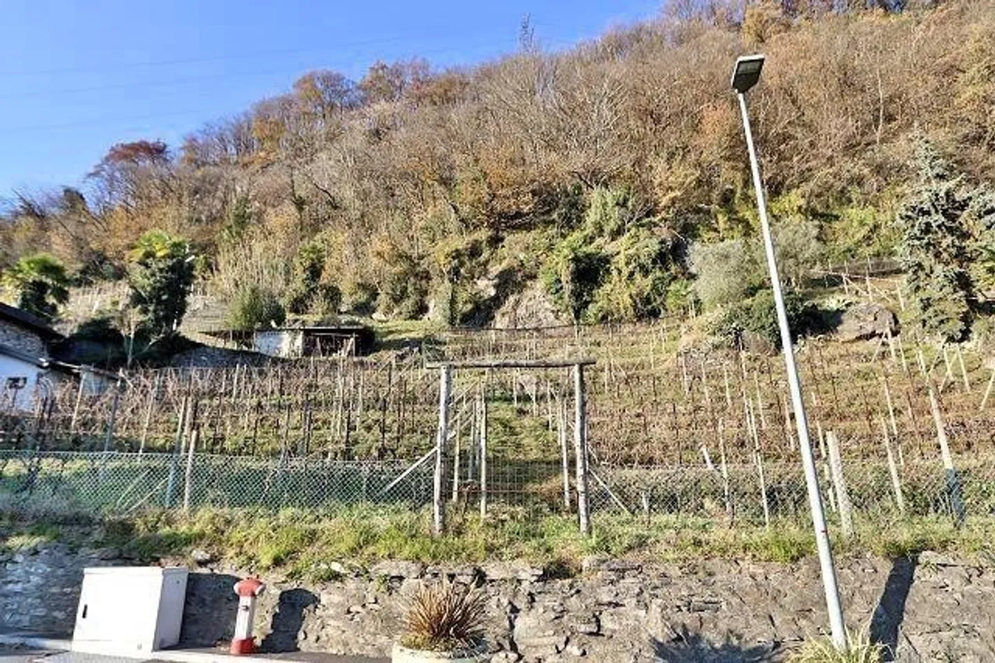 Vigneto Incantevole con Cantina in Pietra - Foto 1 di 13