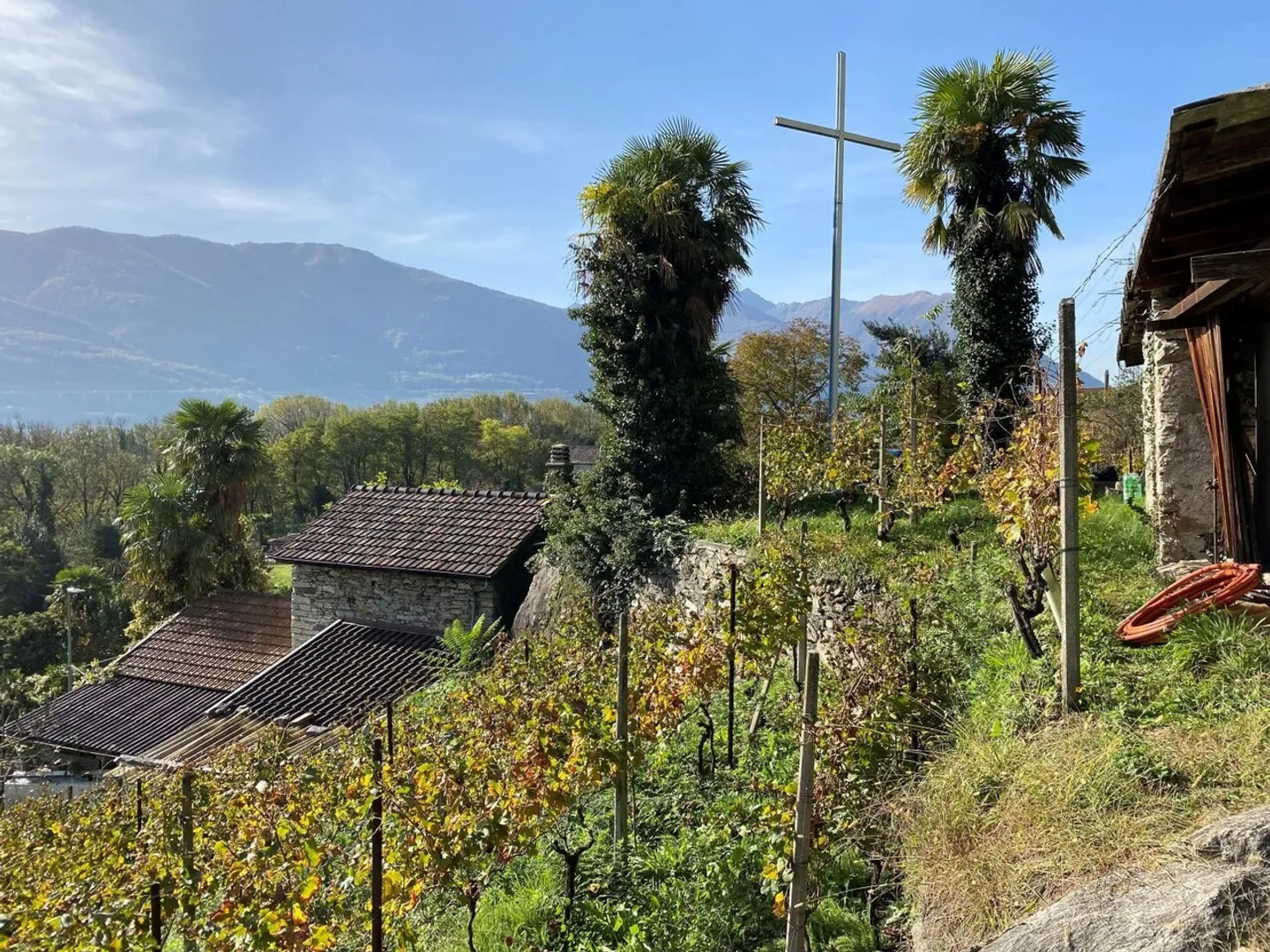 Vigneto Incantevole con Cantina in Pietra - Foto 6 di 13