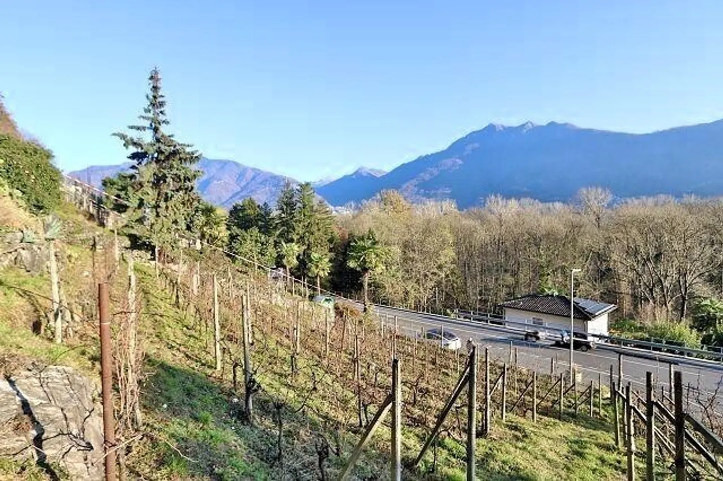 Vigneto Incantevole con Cantina in Pietra - Foto 9 di 13