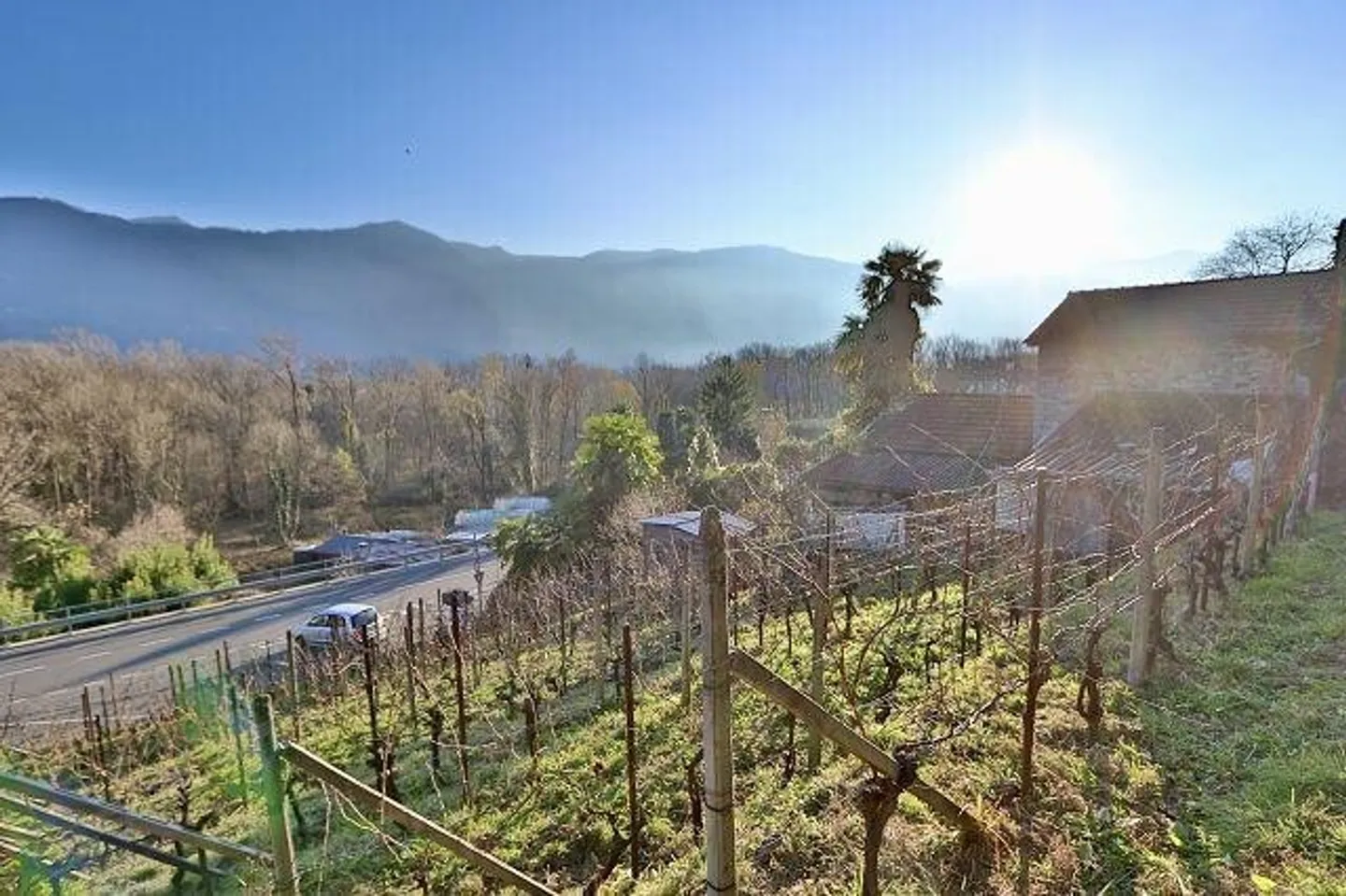 Vigneto Incantevole con Cantina in Pietra - Foto 11 di 13