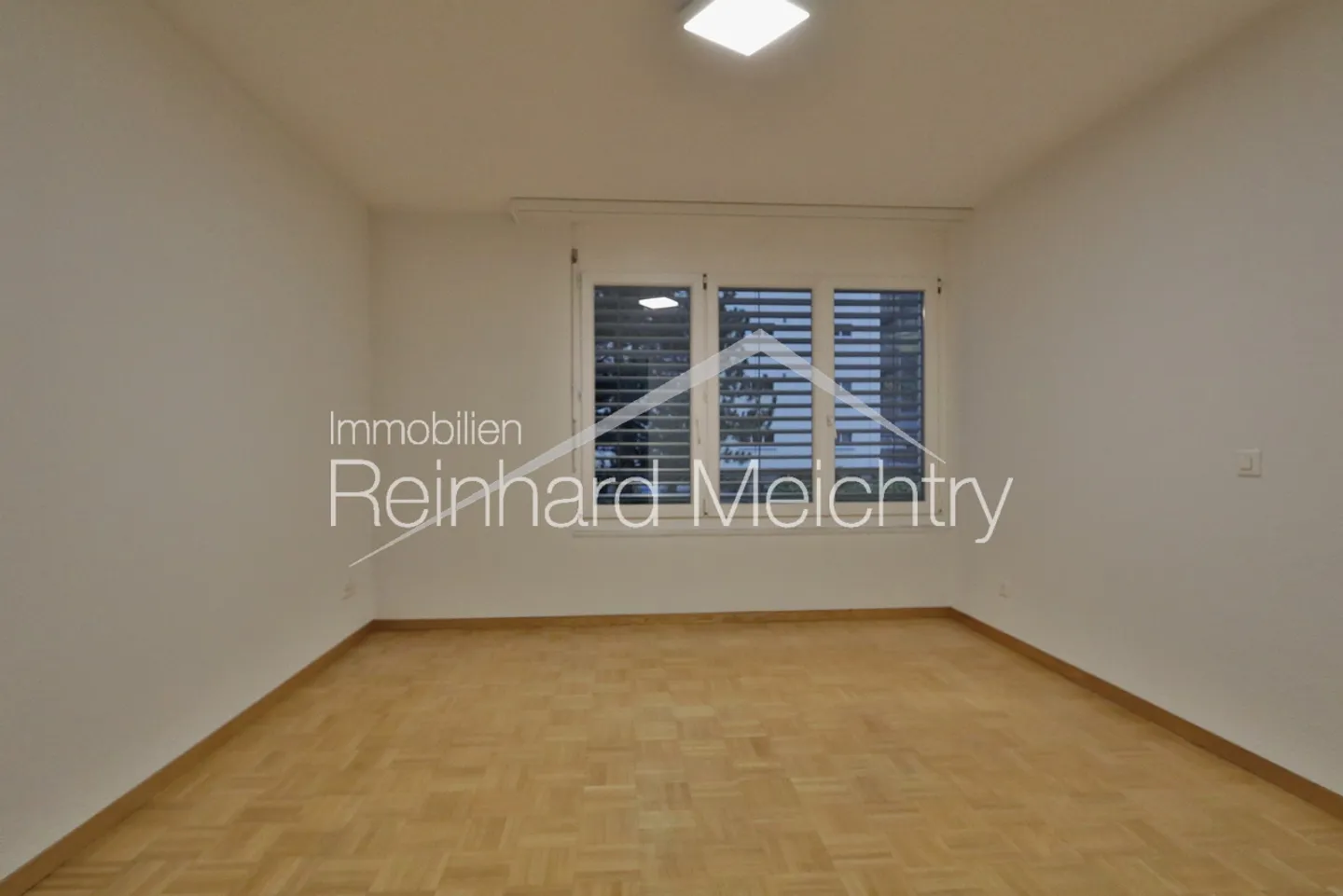 3.5 Room Rental Apartment 5 Minutes from NEAT Train Station and LONZA - Photo 17 of 26