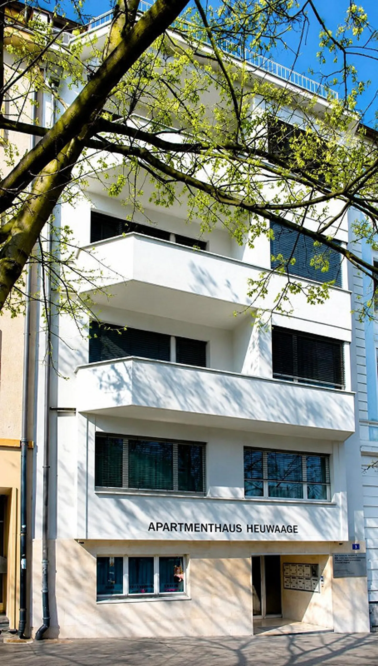 Modern Apartment Building in the City Center - Photo 8 of 10
