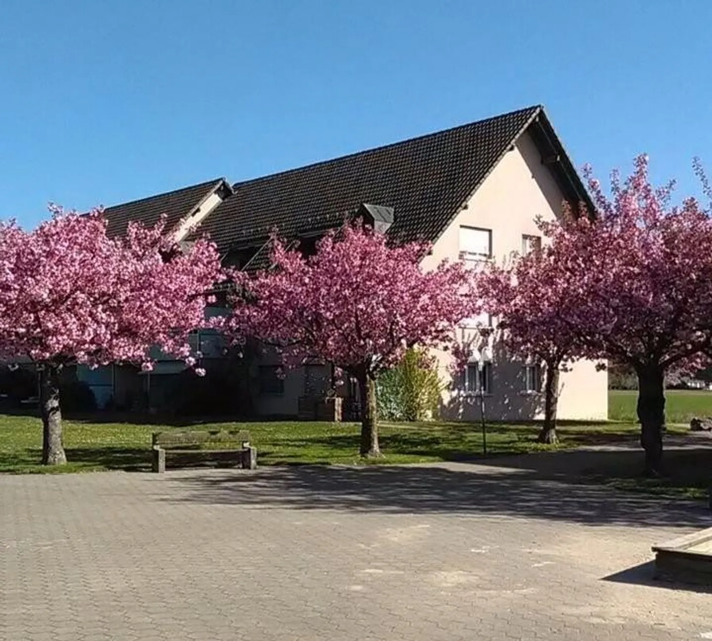 Vivre avec un espace de jardin - Photo 8 sur 11