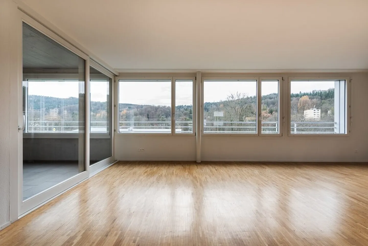 Spacious Apartment in the Altenburg Development - Photo 2 of 9