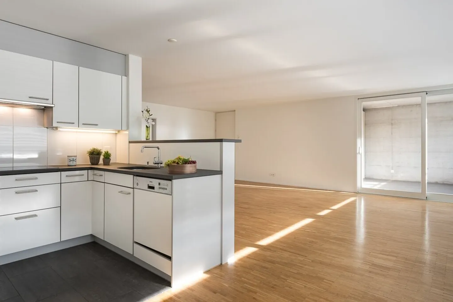 Spacious Apartment in the Altenburg Development - Photo 4 of 9