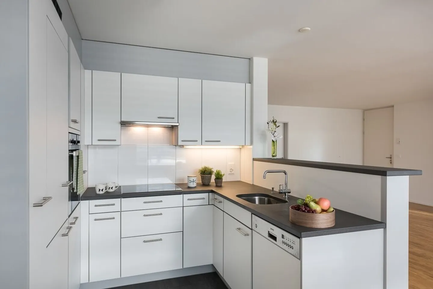 Spacious Apartment in the Altenburg Development - Photo 5 of 9