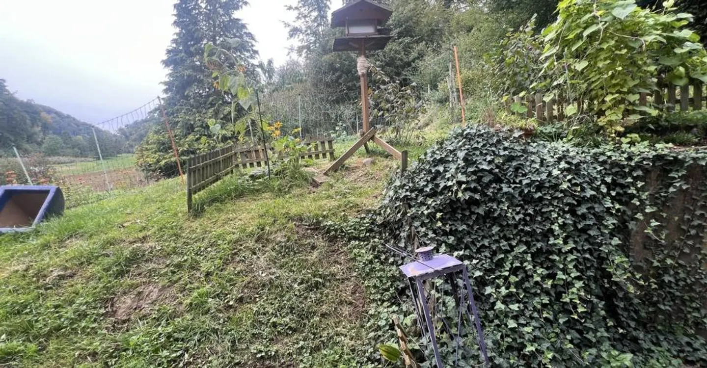 Edificio di rendimento con 3 appartamenti e area verde di 1.400 m2 - Foto 5 di 10