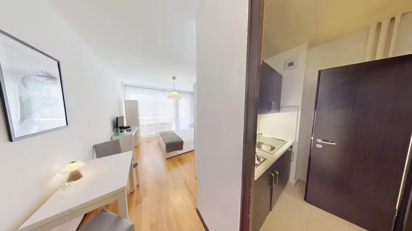 Appartement Charmant à Genève - Photo 5 sur 10