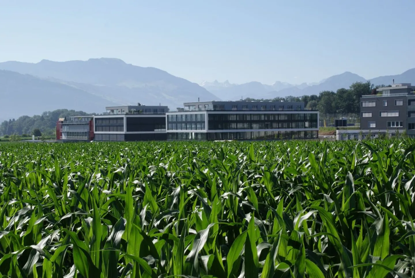 Büro-,Praxis-, Schulungsflächen im "Rothuspark" - Foto 1 von 2
