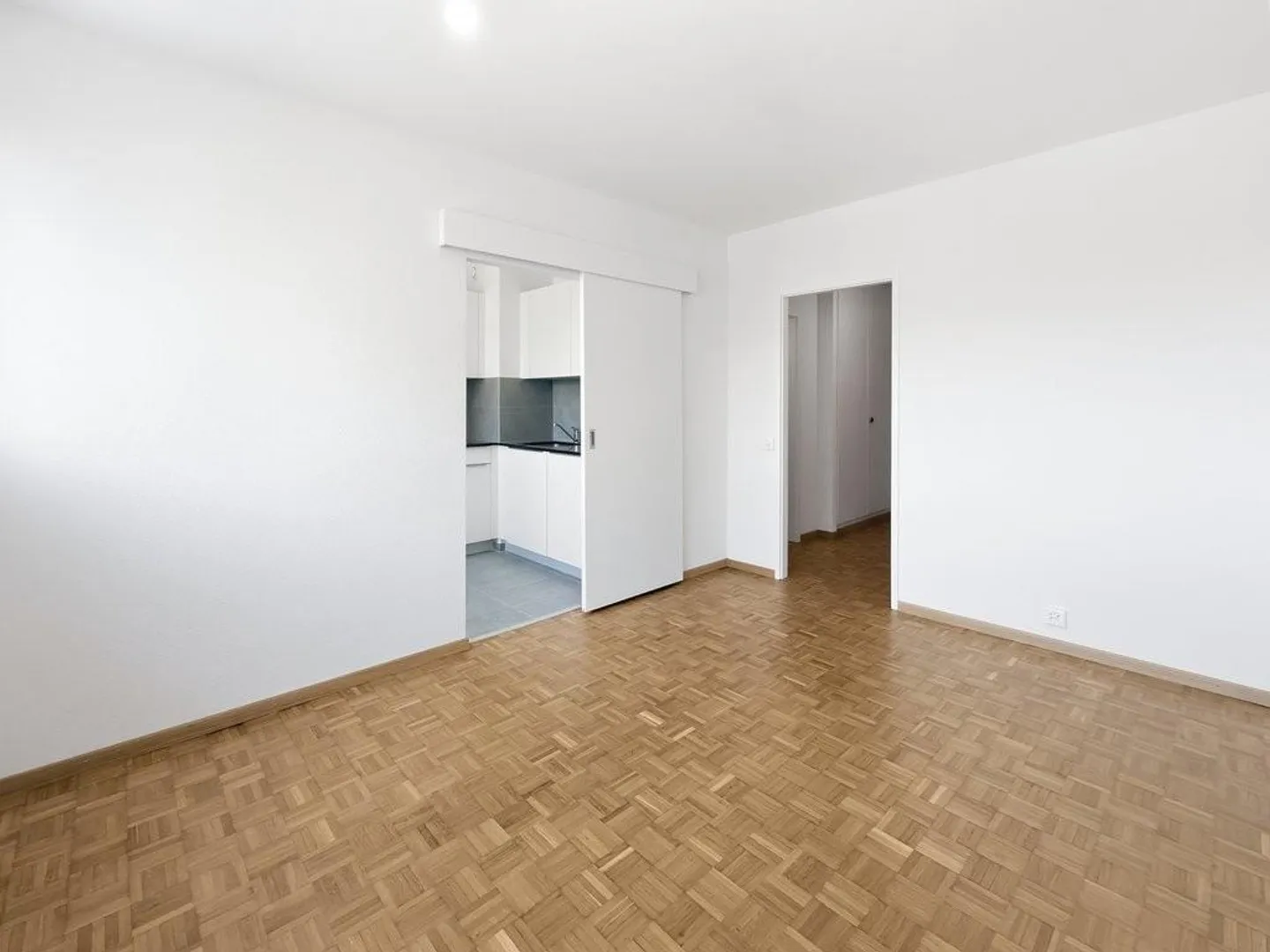Bright apartment in Thônex - Geneva Countryside - Photo 3 of 10