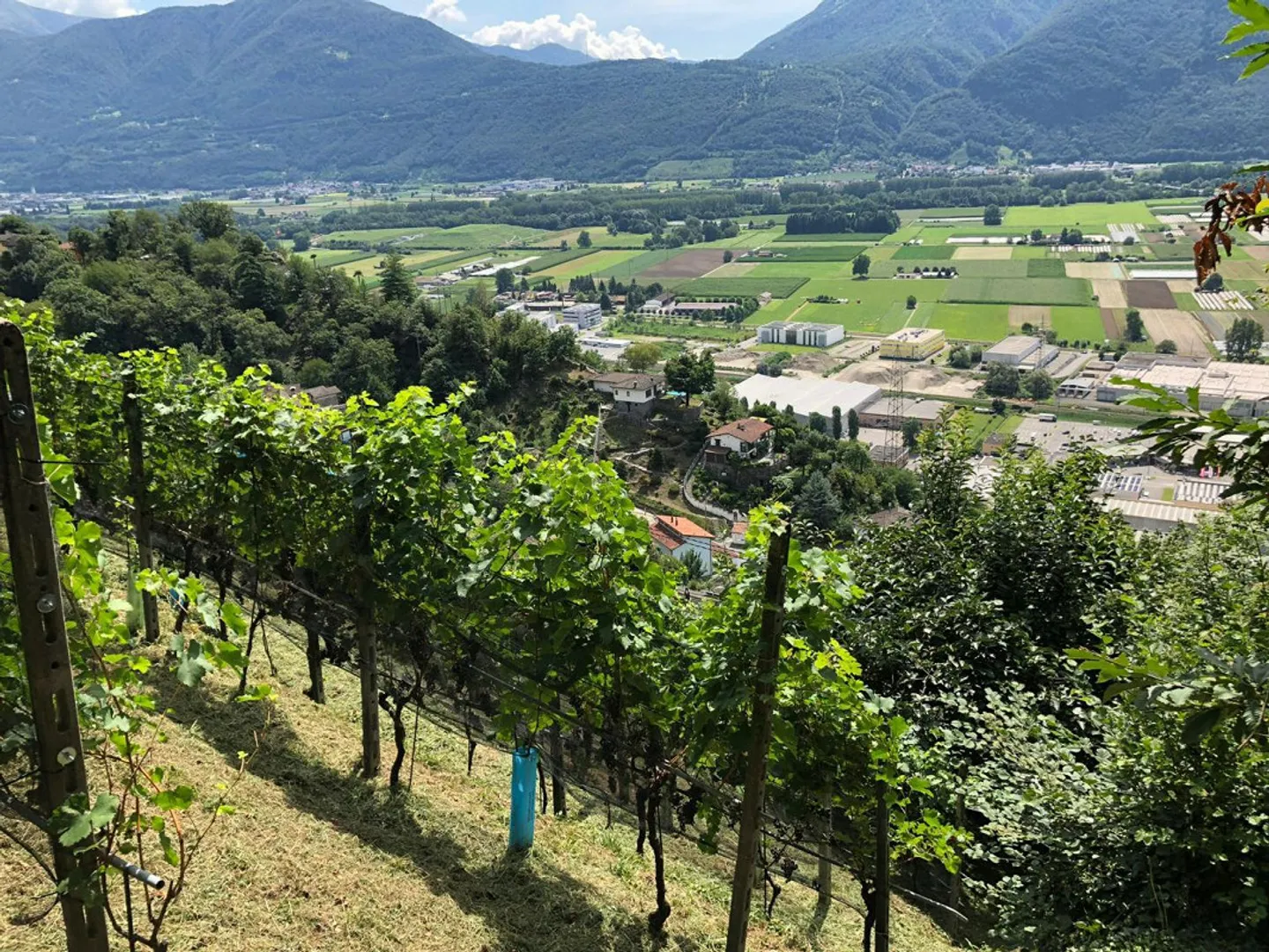 Terreno edificabile in affitto - Foto 3 di 9