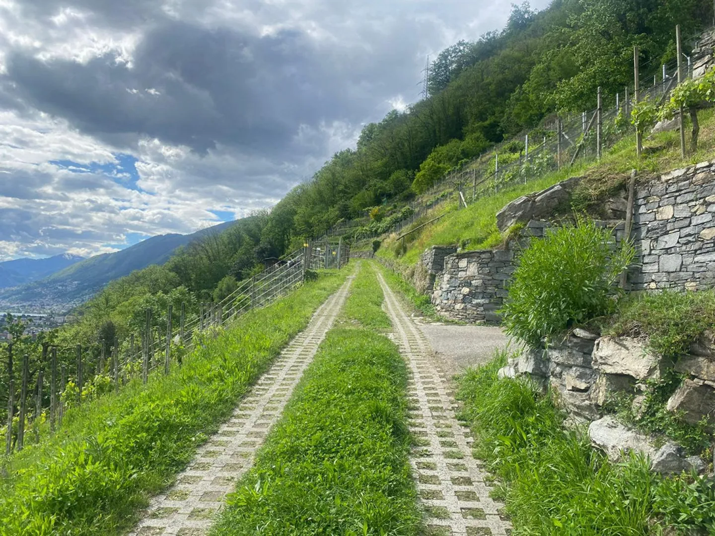 Terreno edificabile in affitto - Foto 7 di 9