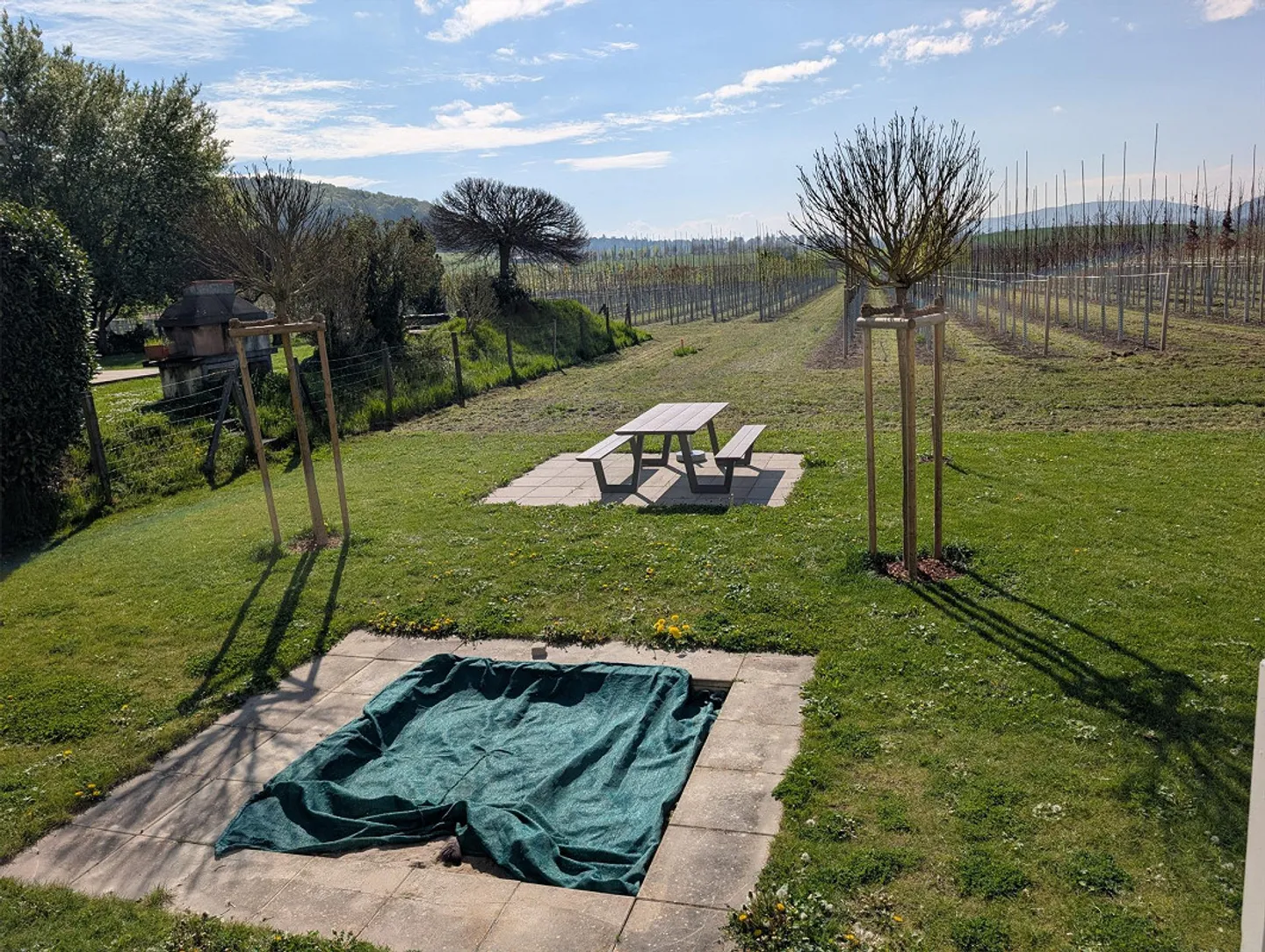 Luminoso appartamento di 4,5 stanze al piano rialzato con vista sul verde - appena ristrutturato! - Foto 12 di 14