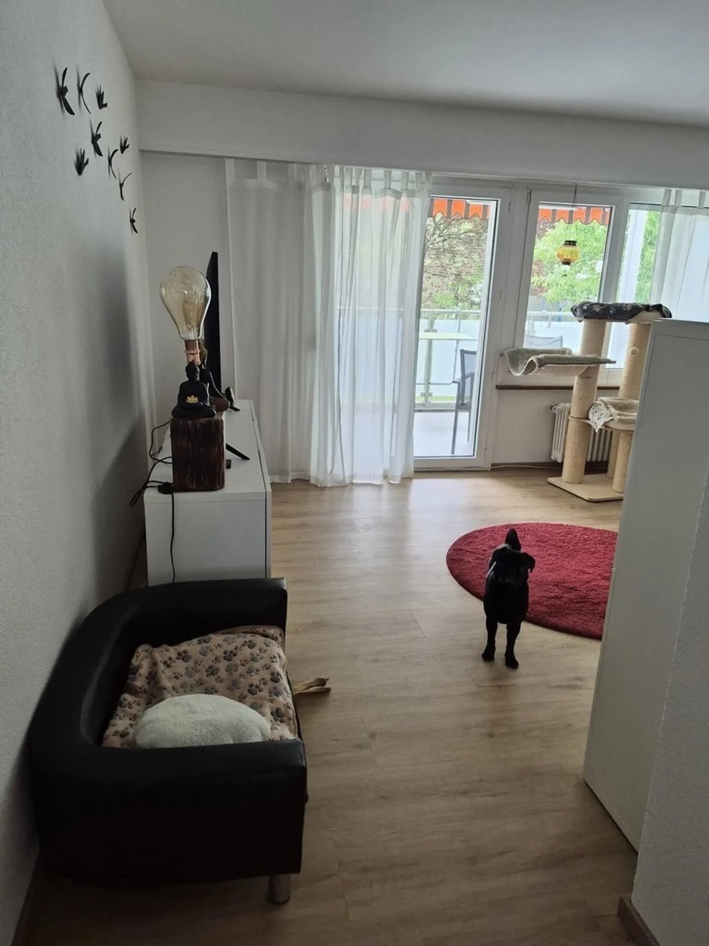 Attractive apartment with character in the Feldegg district - Photo 2 of 9