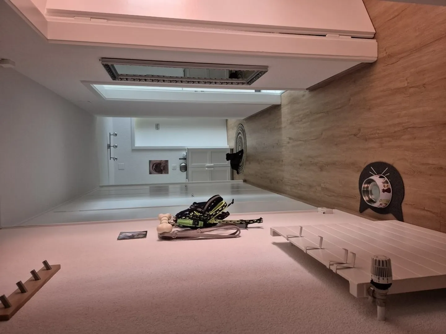 Attractive apartment with character in the Feldegg district - Photo 5 of 9