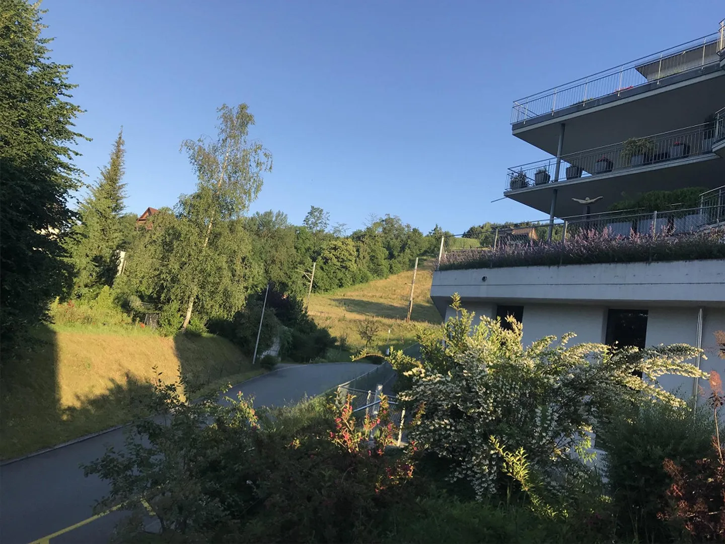 Exclusive 4.5 Room Apartment in Merlischachen - Photo 5 of 13