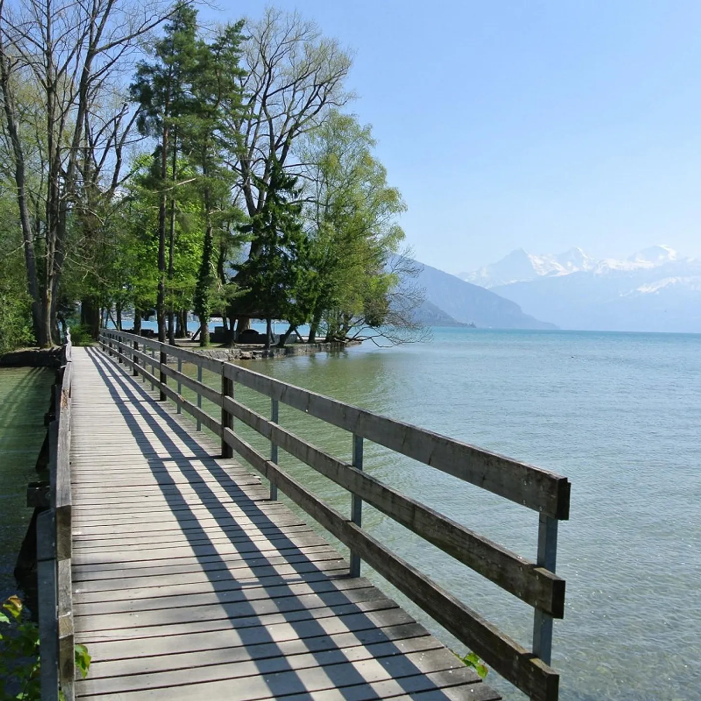 Einmalige Wohngelegenheit am Thunersee - Foto 1 von 2