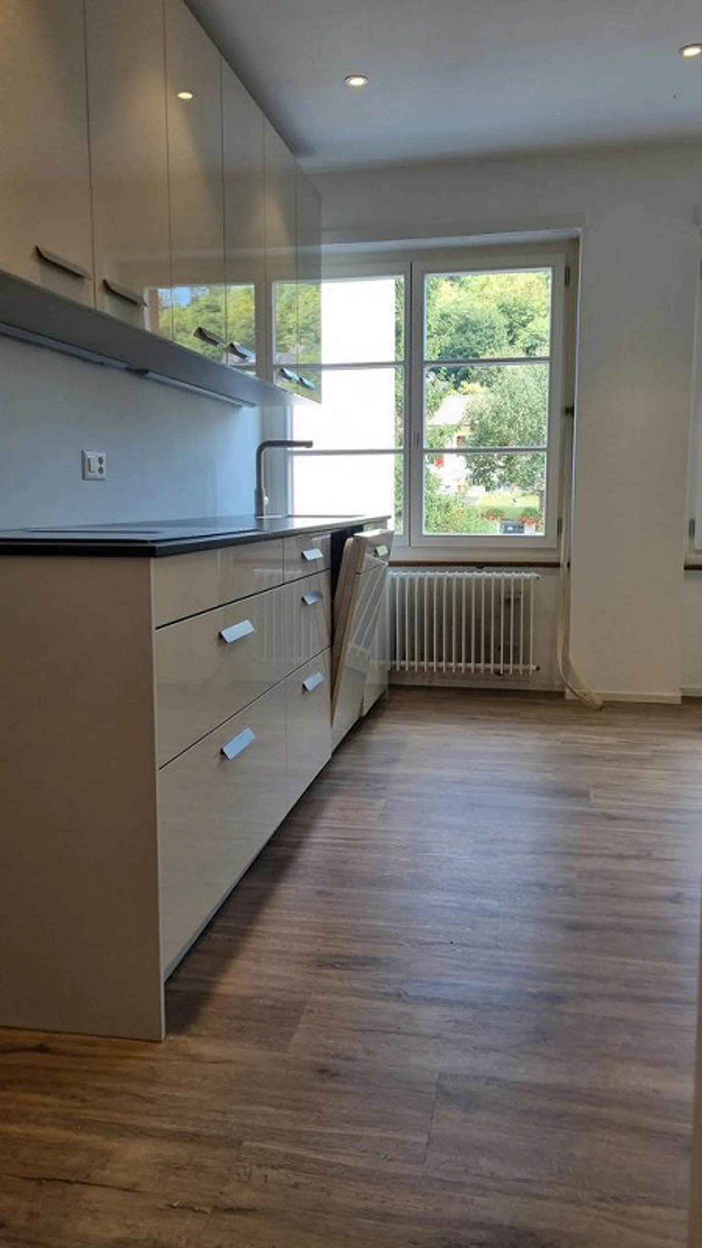 "Schmuckstück" am Baslerhof in Bettingen - Foto 1 von 7