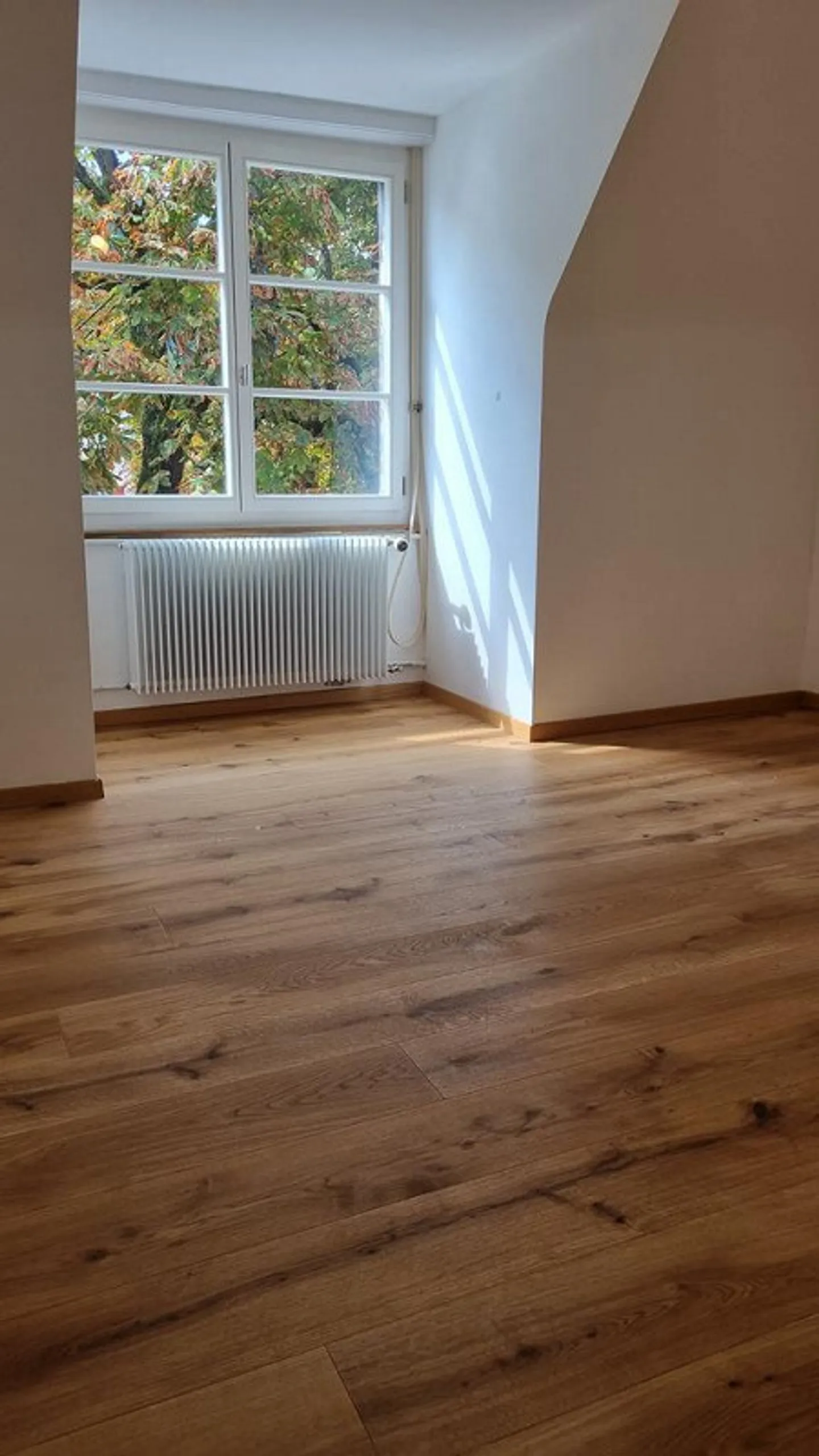 "Schmuckstück" am Baslerhof in Bettingen - Foto 6 von 7