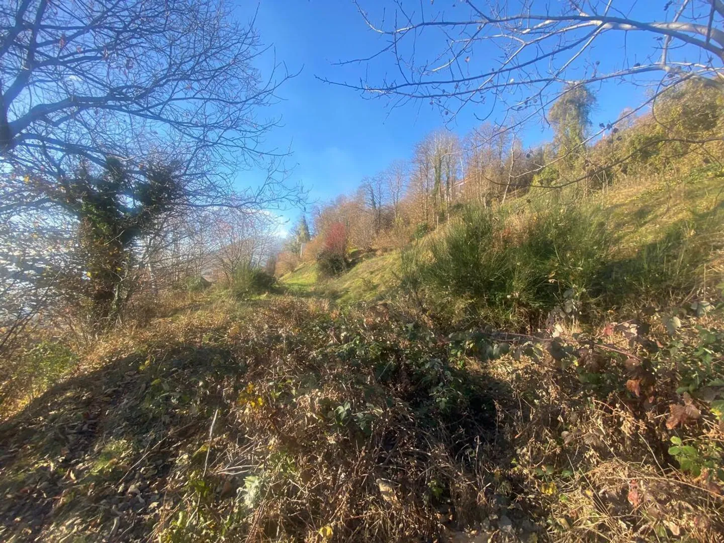 Sunny Building Plot in Cademario - Photo 6 of 12