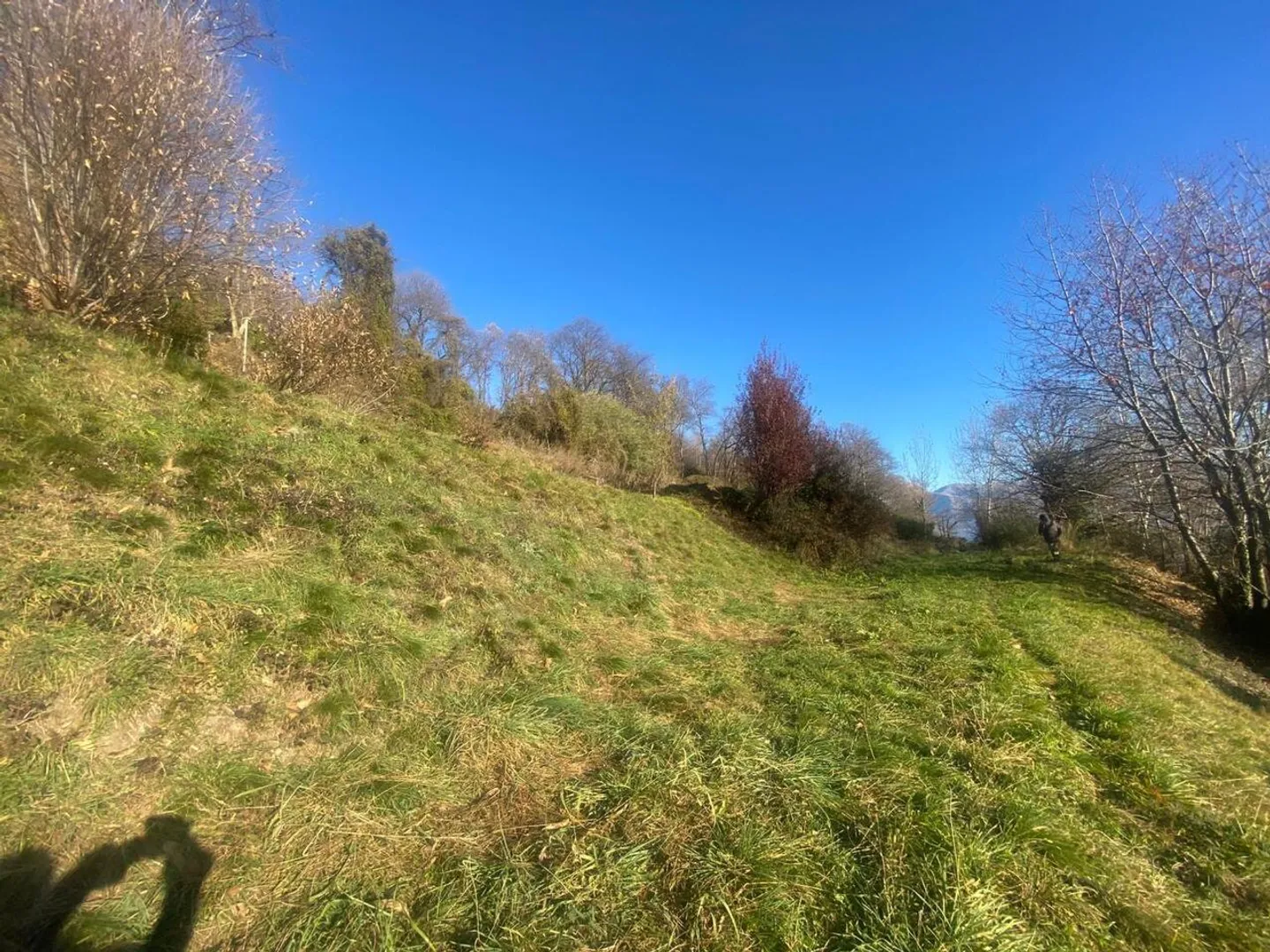 Sunny Building Plot in Cademario - Photo 3 of 12