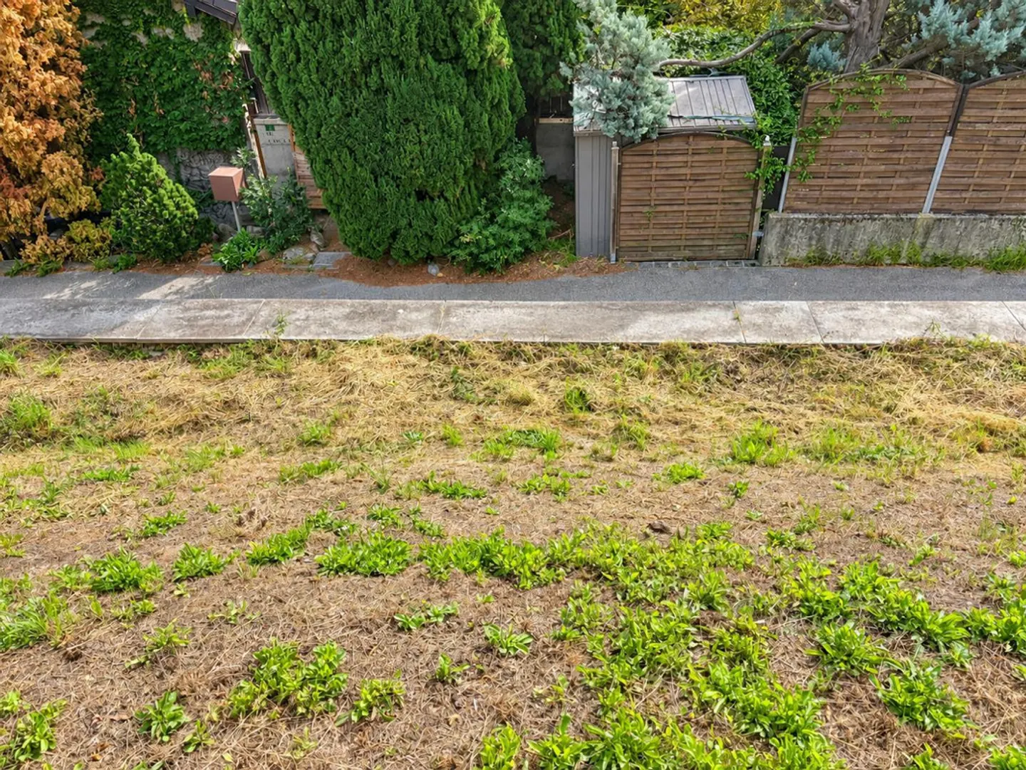 Bauland mit Gebäude von 629 m2 / Bauland von 629 m2 ... - Foto 4 von 15