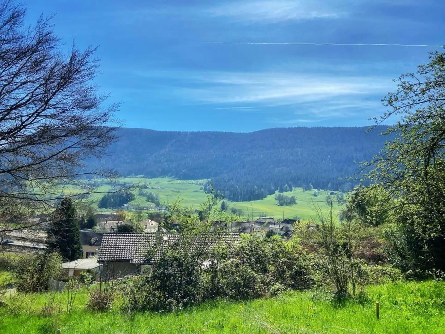 ECCELLENTE! MAGNIFICA VILLA NEL CUORE DI UN'OASI VERDE - Foto 1 di 6